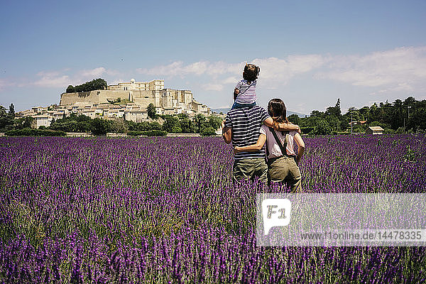 Frankreich  Grignan  Rückenansicht einer Familie  die in einem Lavendelfeld steht und auf das Dorf schaut