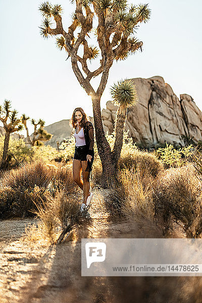 USA  Kalifornien  Los Angeles  Frau beim Spaziergang im Joshua-Tree-Nationalpark im Gegenlicht