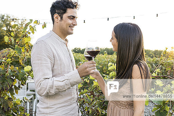 Italien  Toskana  Siena  lächelndes junges Paar  das in einem Weinberg Rotweingläser klimpert