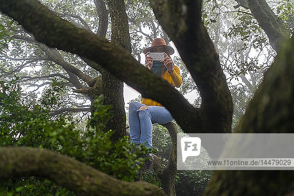 Frau sitzt auf einem Baum und fotografiert mit ihrem Smartphone