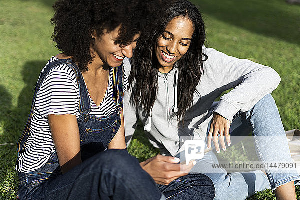 Freundinnen  die im Park sitzen  Spaß haben  Smartphone benutzen