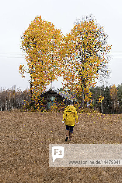 Finnland  Kuopio  Rückenansicht einer Frau in gelber Regenjacke  die auf herbstliche Bäume zugeht