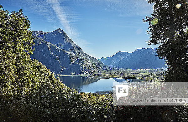 Chile Chaiten Parque Pumalin Blick durch Bäume am Fjord