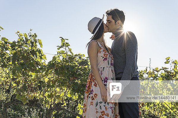 Italien  Toskana  Siena  junges Paar küsst sich in einem Weinberg