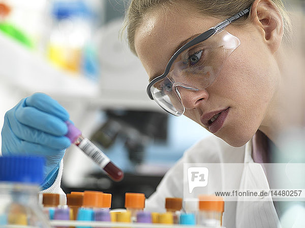 Gesundheitsscreening  Wissenschaftlerin hält ein Röhrchen mit einer Blutprobe zur Analyse im Labor bereit