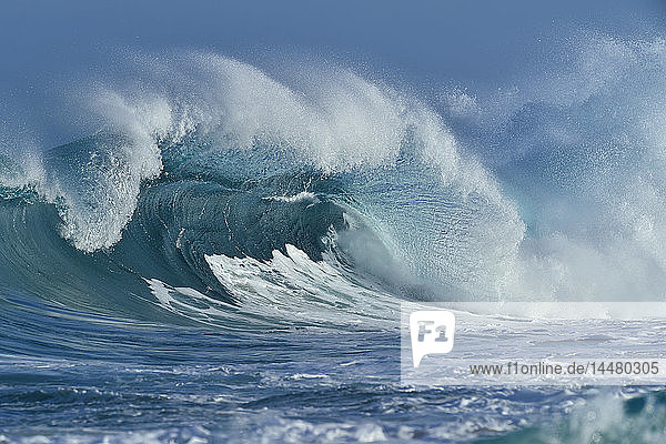 USA  Hawaii  Oahum  Pazifischer Ozean  große dramatische Welle