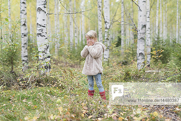 Blondes Mädchen spielt Verstecken in einem Birkenwald