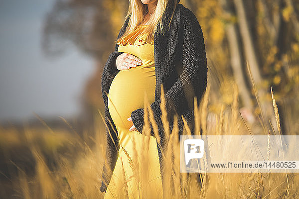 Nahaufnahme einer schwangeren Frau  die im Herbst in der Natur steht