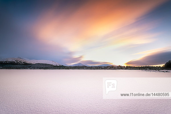 Vereinigtes Königreich  Schottland  Highlands  Cairngorms National Park  Loch Morlich  schneebedeckt  Sonnenuntergang