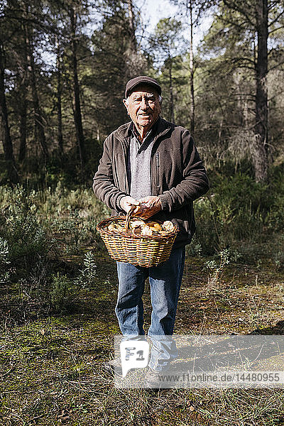 Porträt eines lächelnden älteren Mannes mit einem Korb voller Pilze im Wald