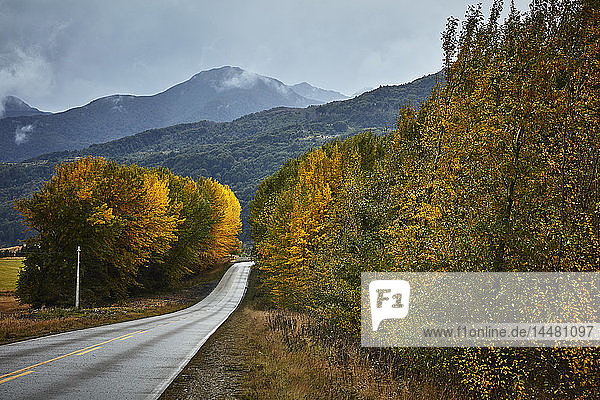 Chile Puerto Aysen Landstraße im Herbst