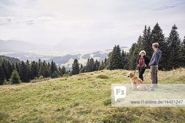 Austria  Tyrol  Kaiser mountains  mother and adult son with dog on a hiking trip in the mountains