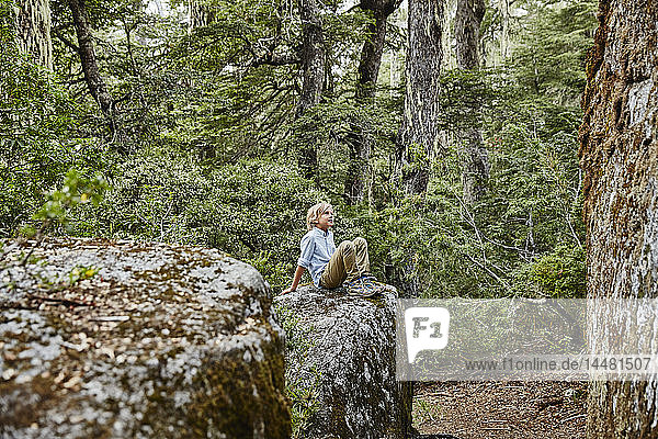 Chile  Puren  Nahuelbuta-Nationalpark  Junge sitzt auf einem Felsen im Wald
