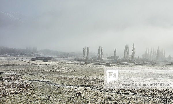 Argentinien Patagonien Seengebiet winterliche Bauernlandschaft im Nebel