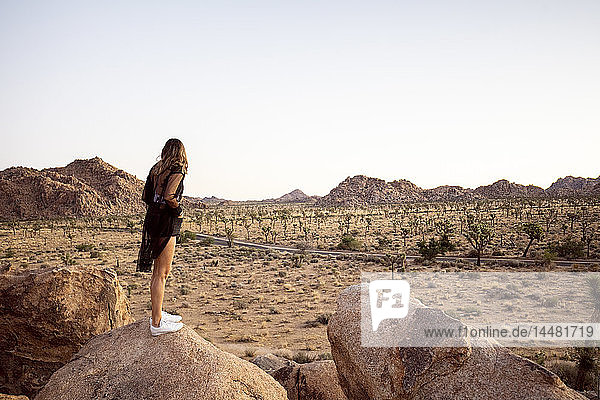 USA  Kalifornien  Los Angeles  Frau auf Fels mit Blick auf die Landschaft im Joshua-Tree-Nationalpark