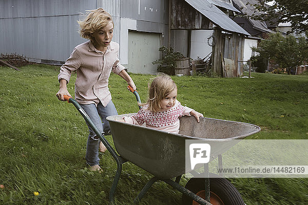 Boy pushing wheelbarrow with his little sister through the garden
