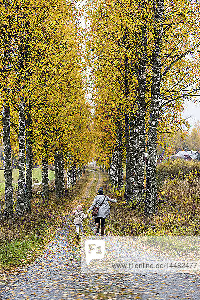 Finnland  Kuopio  Rückenansicht der Mutter und der kleinen Tochter  die im Herbst nebeneinander herlaufen