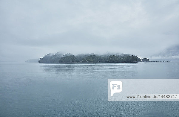 Chile Hornopiren Insel im Fjord