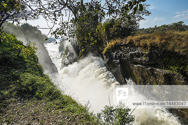 Afrika  Uganda  Murchison Falls National Park  Murchison Falls