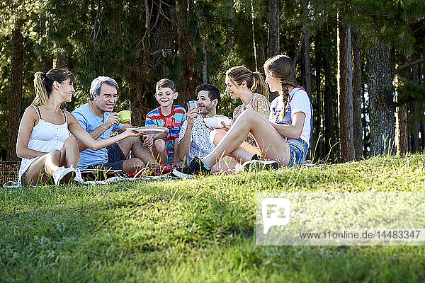 Family having food during picnic