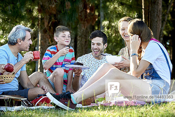 Family having food during picnic