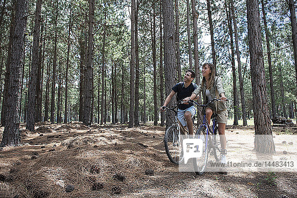 Junges Paar beim Radfahren im Kiefernwald