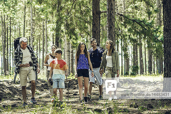 Family hiking in forest