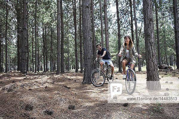 Junges Paar beim Radfahren im Kiefernwald