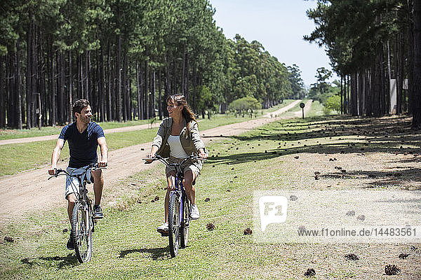 Young couple cycling in pine forest