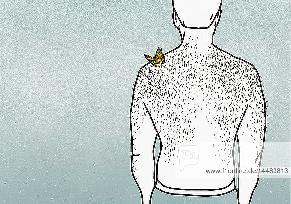 Schmetterling auf der Schulter eines Mannes mit behaartem Rücken