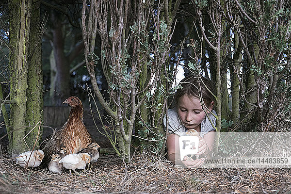 Mädchen hält Babyküken unter einem Baum auf einem Bauernhof