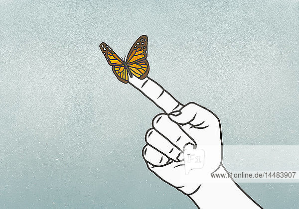 Schmetterling am Finger