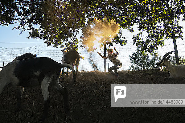 Mädchen spielt mit Ziegen auf einem Bauernhof