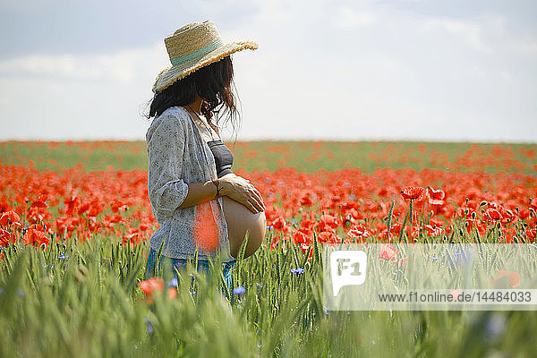 Schwangere Frau in einem sonnigen  idyllischen ländlichen Feld mit rotem Mohn