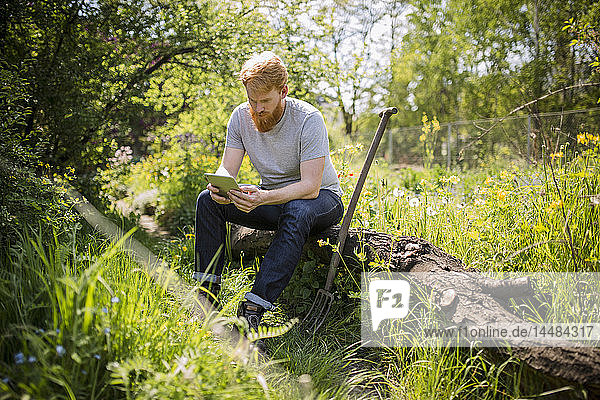 Mann mit Bart benutzt digitales Tablet in sonnigem Garten