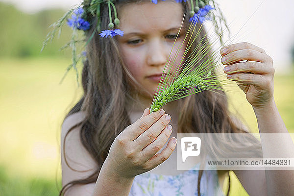 Neugieriges Mädchen hält grünen Weizenstängel