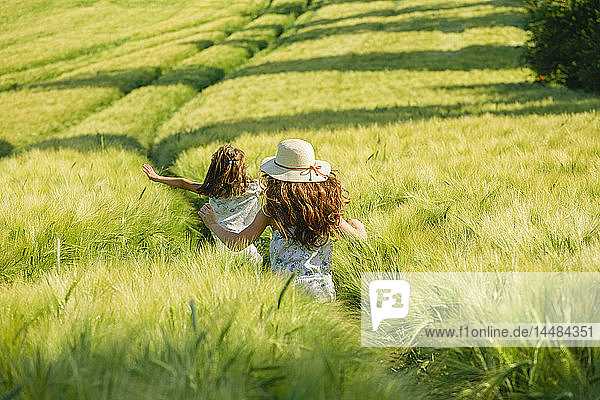 Verspielte  unbekümmerte Mädchen  die in einem sonnigen  idyllischen  grünen Weizenfeld laufen
