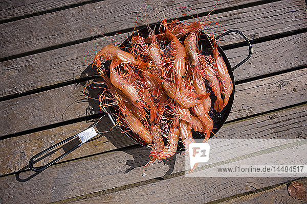 Frisch gefangene Krabben in einer Pfanne  Shoup Bay State Marine Park  Süd-Zentral-Alaska  Sommer