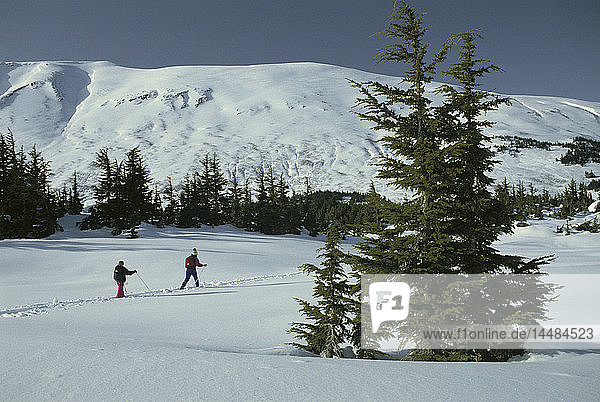 Cross-Country Skiers Turnagain Pass Alaska