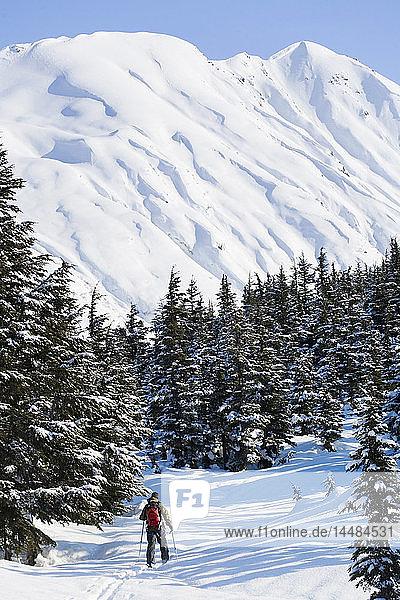 Skitourengeher am Turnagain Pass an einem sonnigen Tag  Kenai-Halbinsel  Süd-Zentral-Alaska  Winter