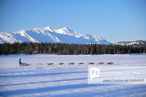 J.Redington Sr on Trail to Finger Lake Iditarod 1997
