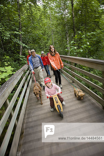 Familie beim Spaziergang auf der Promenade zu den Thunderbird Falls  Eklutna Southcentral Alaska  Sommer
