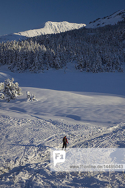 Cross country skier skiing in Turnagain Pass Southcentral Alaska