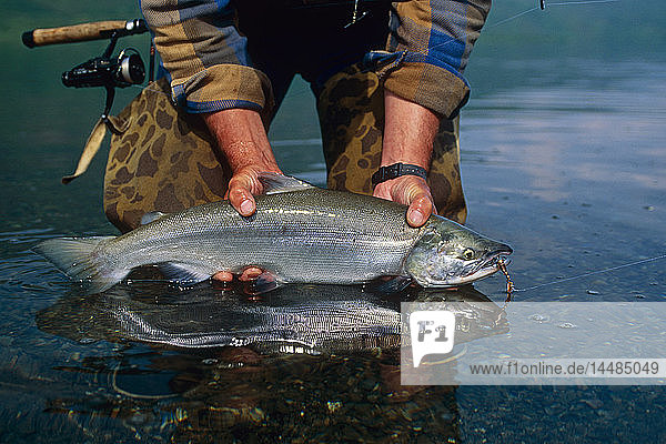 Fischer hält Sockeye-Lachs im Südwesten Alaskas