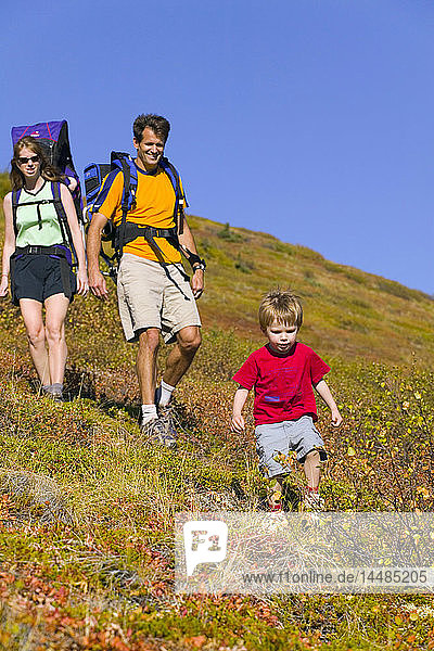Family hiking together in Arctic Valley Chugach State Park Chugach Mountains Southcentral Alaska Summer