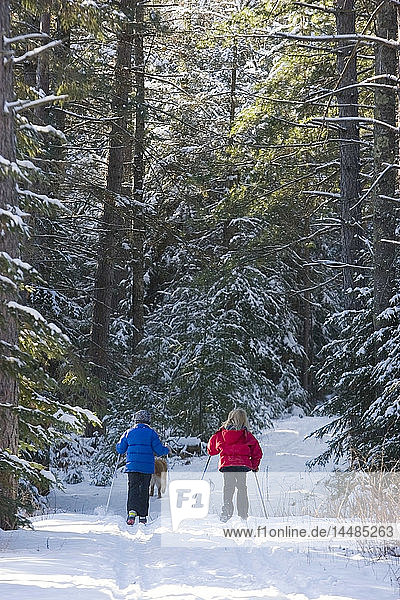 Zwei Mädchen Langlaufski nebeneinander auf der Spur durch Fichtenwälder in Ely Minnesota Winter