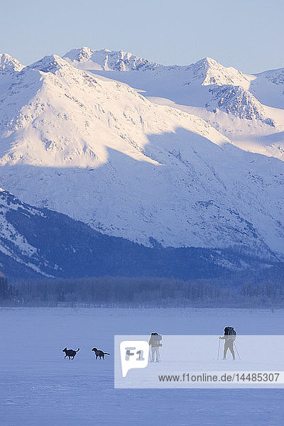 Zwei Skilangläufer mit drei Packhunden fahren über einen See entlang des Seward Highway mit schneebedeckten Bergen im Hintergrund  Southcentral Alaska