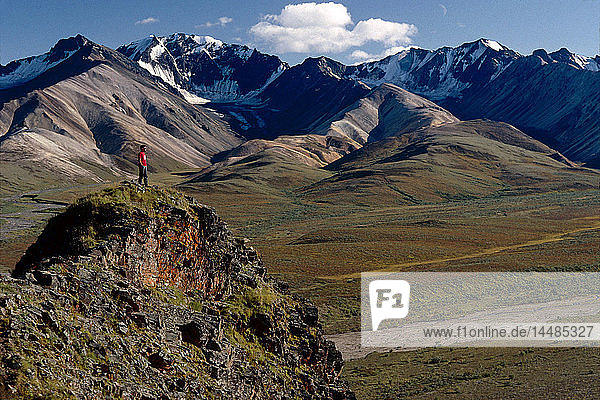 Wanderer mit Blick auf Alaska Ranger Denali NP AK /nInterior Sommer East Fork River