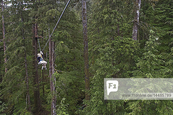 Female rides a zip line through the rainforest canopy near Ketchikan  Alaska