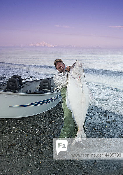 Angler posiert mit seinem Fang eines großen Heilbutts in der Nähe von Ninilchick  Kenai-Halbinsel  Southcentral Alaska
